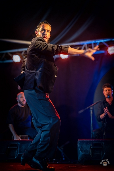 flamenco (66)